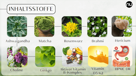 topfirma, nuutri, vegan, nahrungsergänzungsmittel, energie, inhaltsstoffe